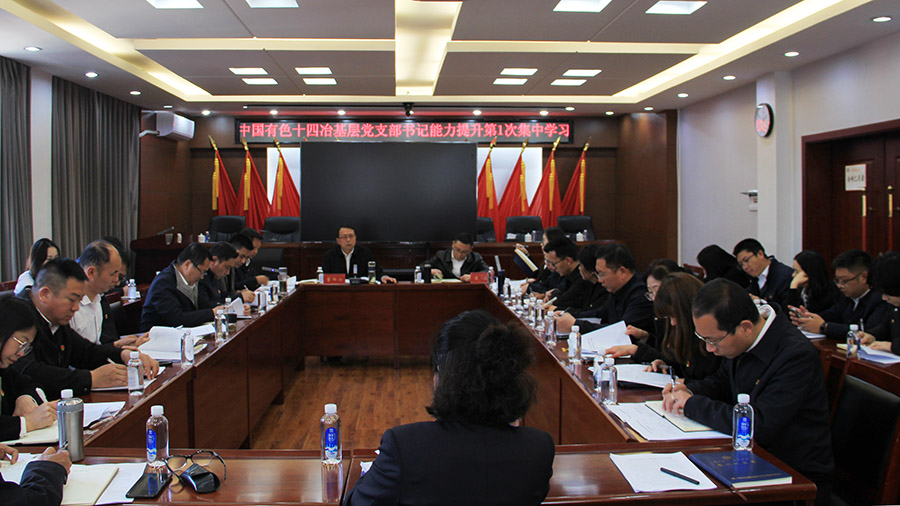 公司黨委召開2025年基層黨支部書記能力提升第1次集中學(xué)習(xí)會