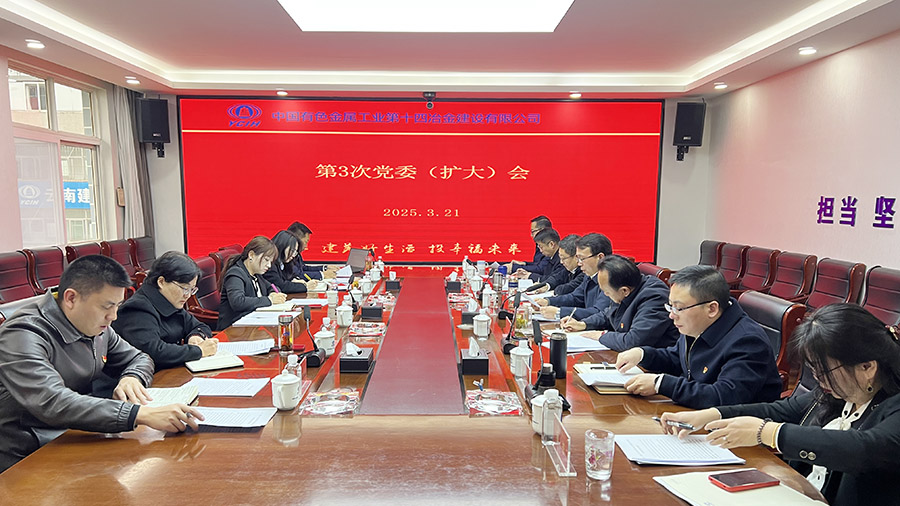 公司黨委召開2025年第3次黨委（擴(kuò)大）會議 研究部署開展深入貫徹中央八項規(guī)定精神學(xué)習(xí)教育工作