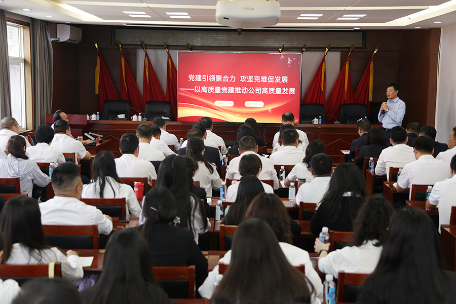 黨建引領(lǐng)聚合力 攻堅克難促發(fā)展 蘭世強講授專題黨課