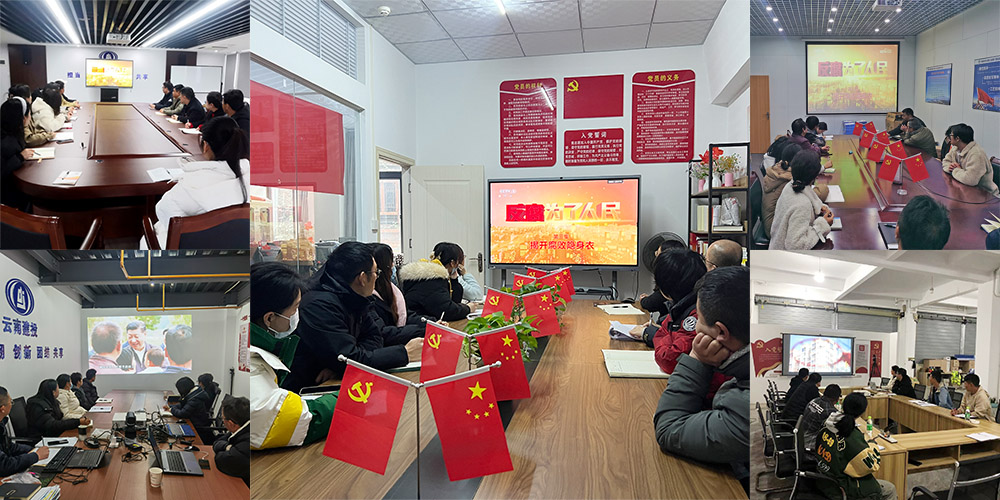 強(qiáng)化反腐倡廉意識 公司組織觀看電視專題片《反腐為了人民》