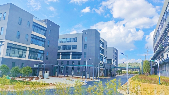 項(xiàng)目實(shí)景